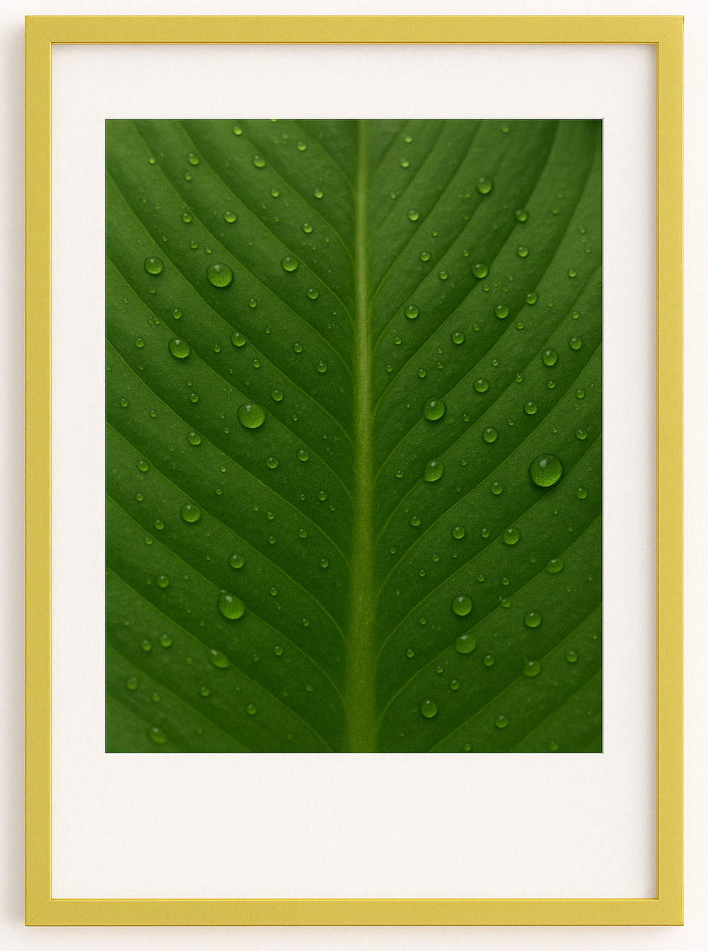 A2 A3 A4 A5 Thin Matt Black Photo Frame White Picture Frames Poster Oak/Walnut - Picture 12 of 12